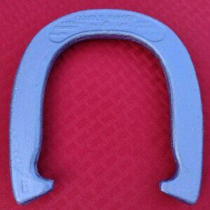 Shimmering Purple Horseshoe